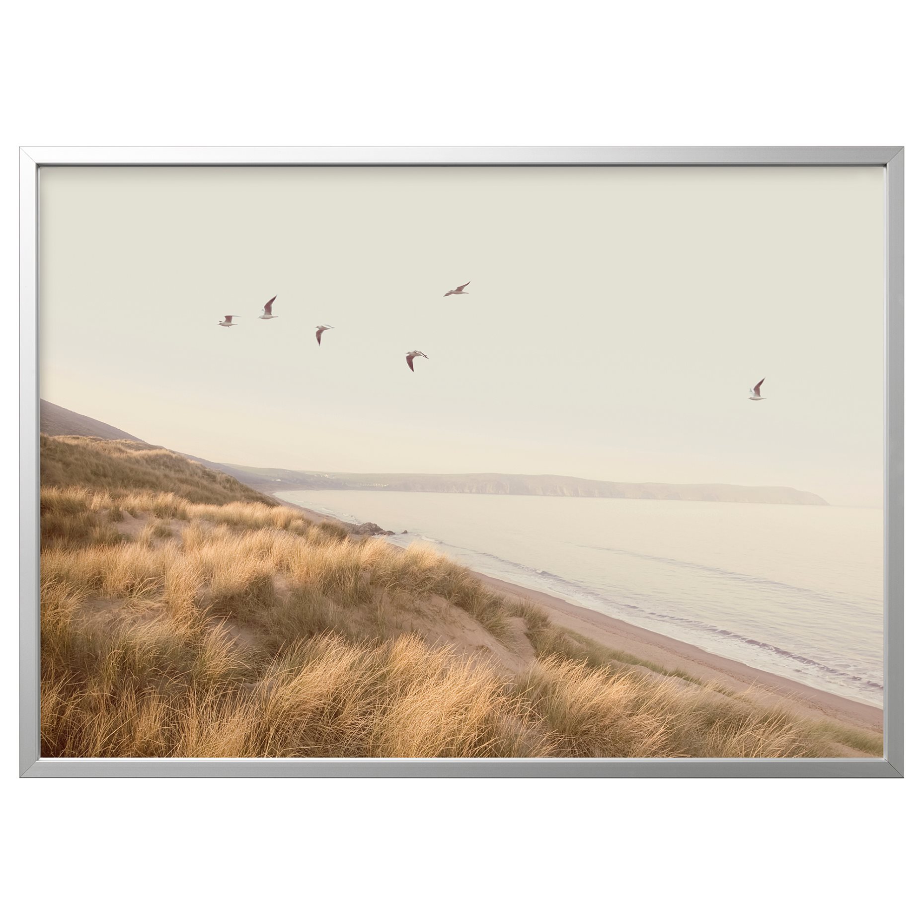 BJORKSTA picture with frame/birds by the beach, 140x100 cm, White ...